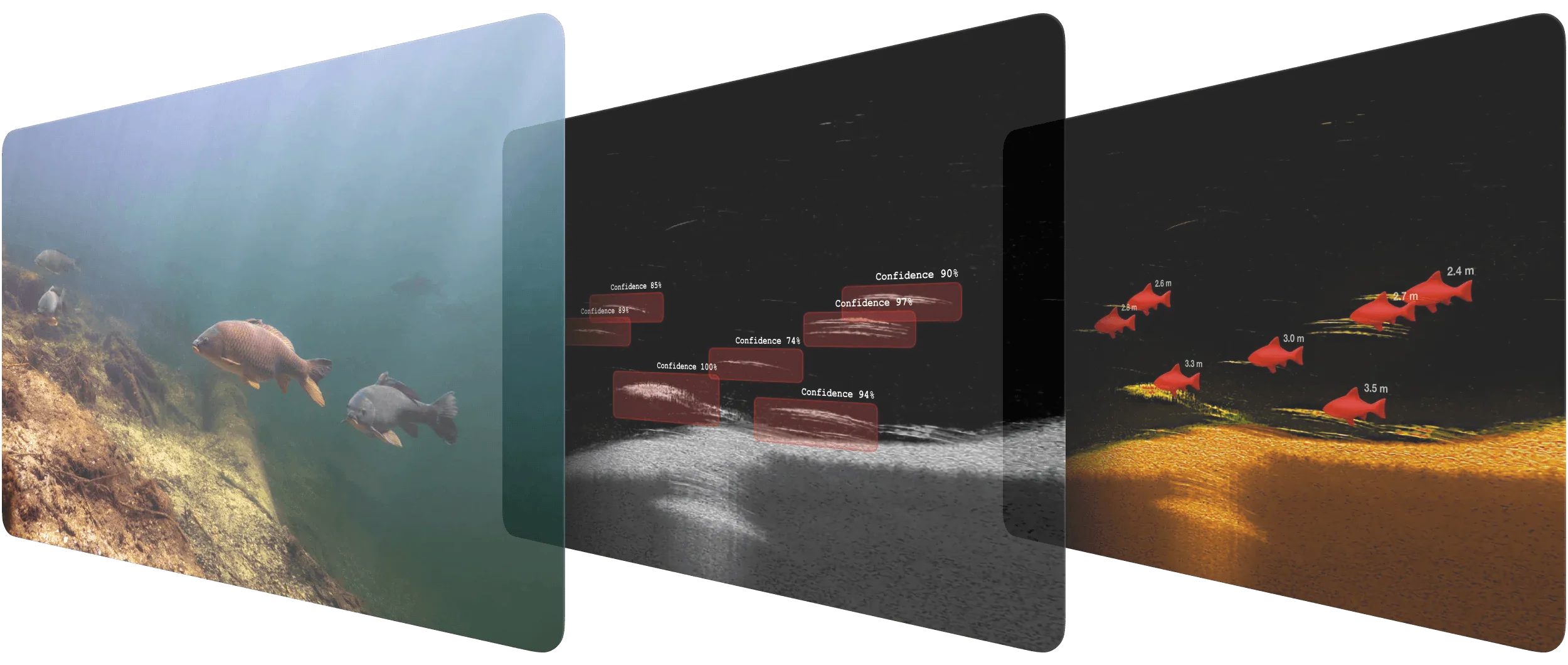 Deeper CHIRP+ 4 sonaras žvejybai su dirbtiniu intelektu - 1
