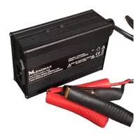 ĮKROVIKLIS LEADMAX LIFEPO4 12V AKUMULIATORIAMS (14.6V, 15A), C300-12-15LFP