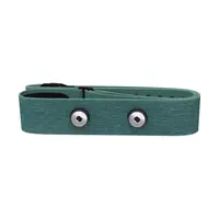 POLAR PRO STRAP žALIAS SENSORIAUS DIRžAS, 725882046976