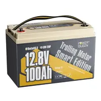 POWER QUEEN 12V 100AH LIFEPO4 GROUP 31 IšMANUSIS AKUMULIATORIUS, PQ-12V-100-G31S