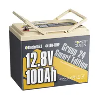 POWER QUEEN 12V 100AH LIFEPO4 GROUP 24 IšMANUSIS AKUMULIATORIUS, PQ-12V-100-G24S