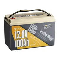 POWER QUEEN 12V 100AH LIFEPO4 AKUMULIATORIUS SU APSAUGA NUO šALčIO, PQ-12V-100-LT