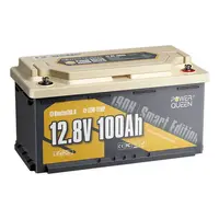POWER QUEEN 12V 100AH LIFEPO4 IšMANUSIS AKUMULIATORIUS, PQ-12V-100-S