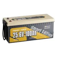 POWER QUEEN 24V 100AH LIFEPO4 IšMANUSIS AKUMULIATORIUS, PQ-24V-100-S