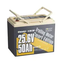 POWER QUEEN 24V 50AH LIFEPO4 AKUMULIATORIUS SU APSAUGA NUO šALčIO, PQ-24V-50-LT