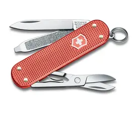 VICTORINOX CLASSIC SD LIMITED EDITION 2025 STONE RED, 0.6221.L25