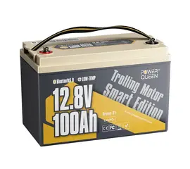 POWER QUEEN 12V 100AH LIFEPO4 GROUP 31 IšMANUSIS AKUMULIATORIUS, PQ-12V-100-G31S