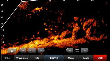GARMIN LIVESCOPE: PERSPECTIVE MODE