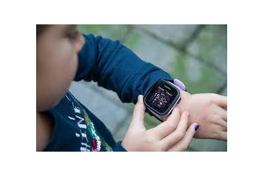 GARMIN BOUNCE