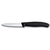 VIRTUVINIS PEILIS VICTORINOX SWISSCLASSIC, JUODAS, 6.7603