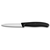 VIRTUVINIS BANGUOTų AšMENų PEILIS VICTORINOX SWISSCLASSIC, JUODAS, 6.7633