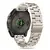 TECH-PROTECT METALINė APYRANKė GARMIN LAIKRODžIAMS SU QUICKFIT 22MM, 5906302376971