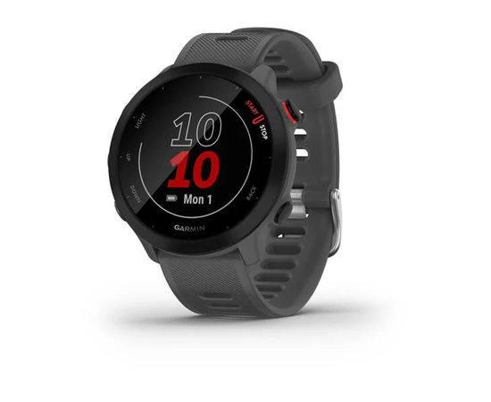 GARMIN FORERUNNER 55 MONTERRA GREY, 010-02562-13