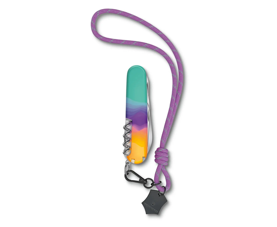 ŠVEICARIšKAS PEILIUKAS VICTORINOX COMPANION, 1.3909.E222