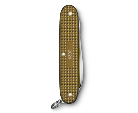 ŠVEICARIšKAS PEILIUKAS VICTORINOX PIONEER X ALOX LIMITED EDITION 2024, 0.8231.L24