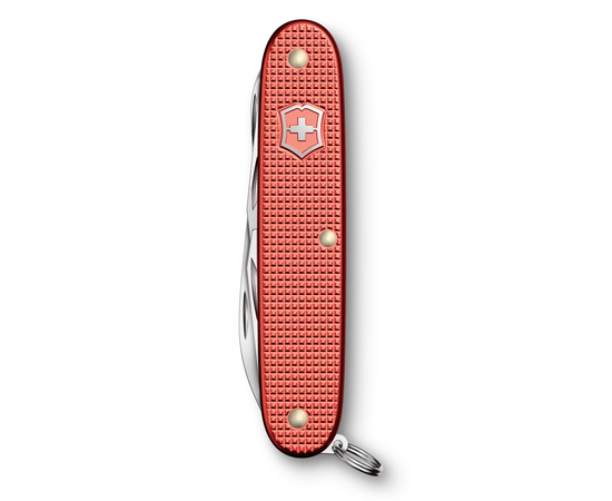 VICTORINOX PIONEER X ALOX LIMITED EDITION 2025 STONE RED, 0.8231.L25
